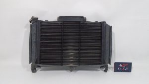 RADIADOR DE AGUA YAMAHA FZ6 S2 07-10